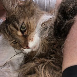 Meet your Posher, Jill